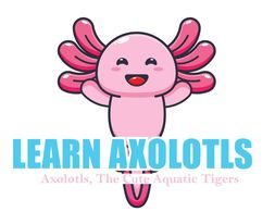 Axolotls 